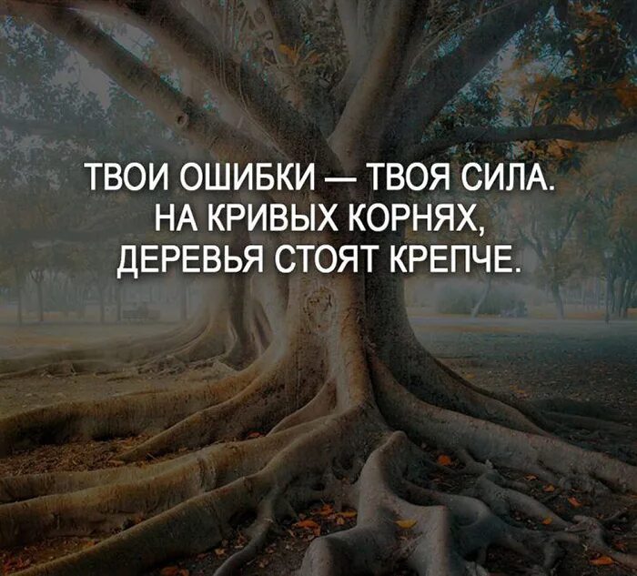 Сходи ошибку