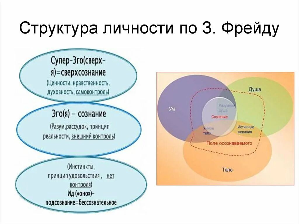 Подчиняется принципу удовольствия