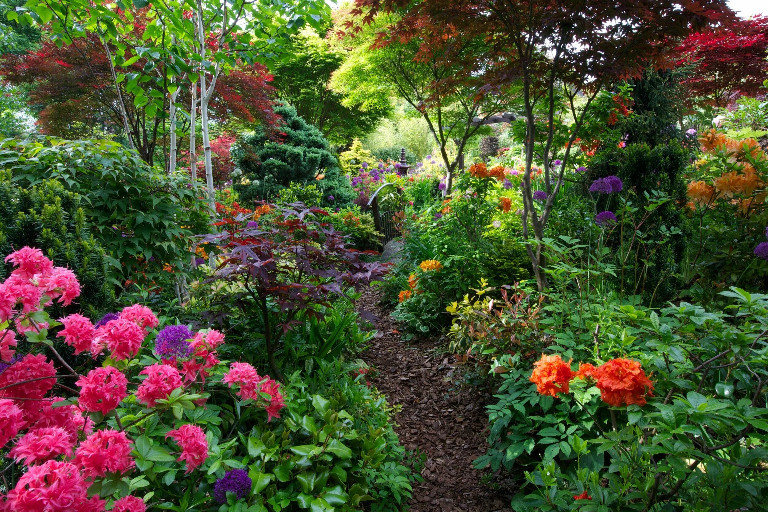 Walsall-Garden Англия. Сад Елены Асташкиной рододендроны в саду. Сады Гертруды Джекилл. Парк Бельвиль кустарники. В цветнике растут только пионы и розы