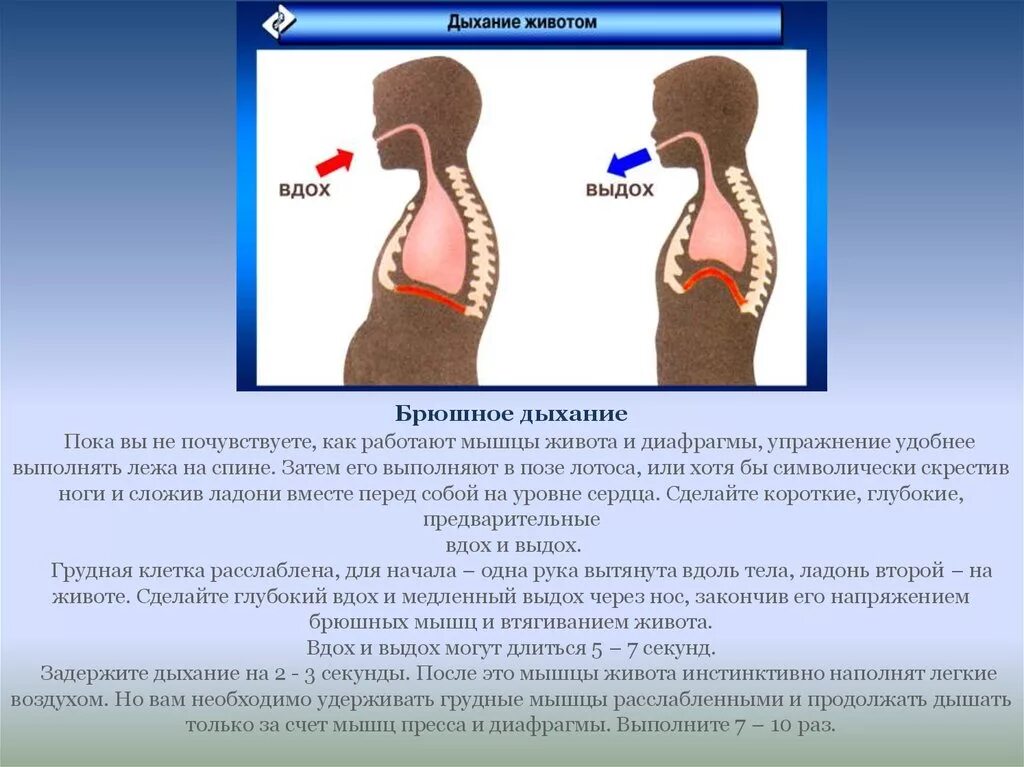 Дыхательная техника «брюшное дыхание». Брюшное диафрагмальное дыхание. Тренировка диафрагмального дыхания. Методика брюшного дыхания. Воздух в области желудка