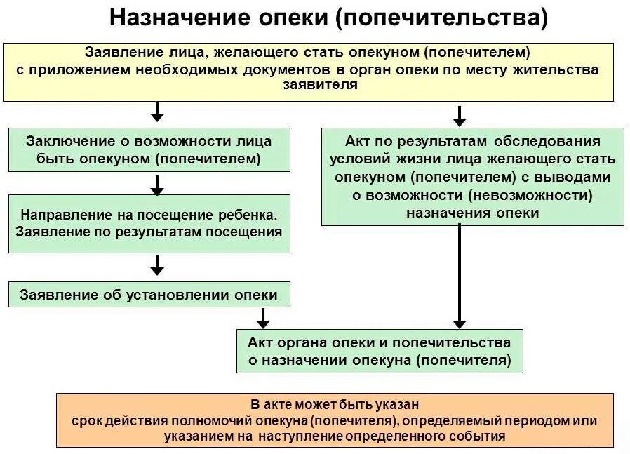 В каких случаях опекунство. Порядок передачи ребенка под опеку попечительство схема. Сроки установление опеки (попечительства) осуществляется. Порядок назначения опекунов и попечителей кратко. Порядок установления опеки и попечительства над детьми.