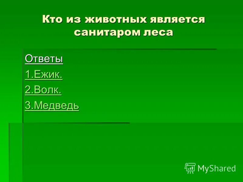 Какие из перечисленных животных являются санитарами леса. Какие из перечисленных животных являются санитарами леса. Волки лесные санитары. Животные какие группы считаются санитарами леса. Волки лесные санитары.