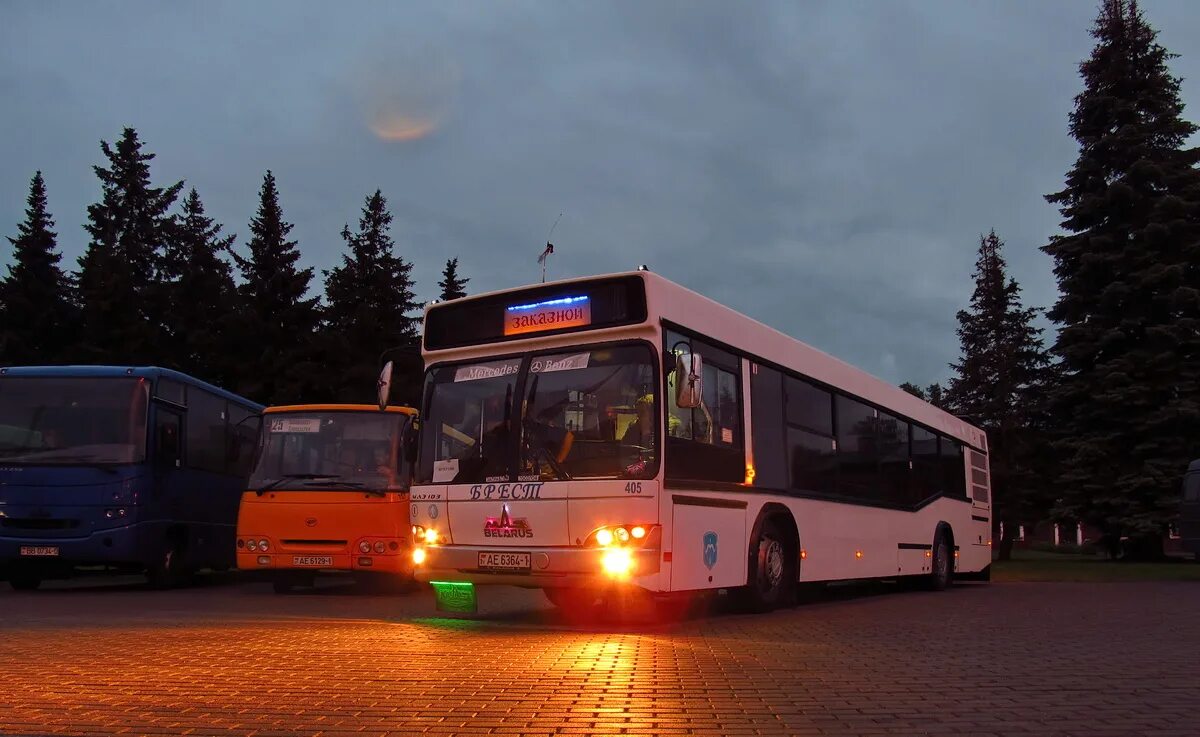 Автобусы г брест