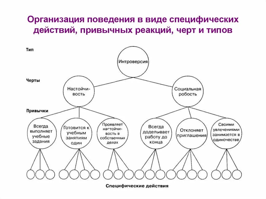 Психологическая модель личности. Структурно-иерархическую модель личности ученика. Ганс Айзенк теория типов личности. Иерархическая организация личности по Айзенку. Иерархическая теория личности Айзенка.