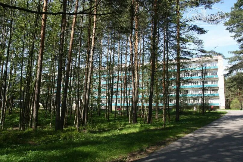 Санаторий восток новосибирск. Восток 6 зеленогорск автобус. Санаторий восток-6 в зеленогорске. Восток 6 зеленогорск. Восток-6 пансионат схема территории.