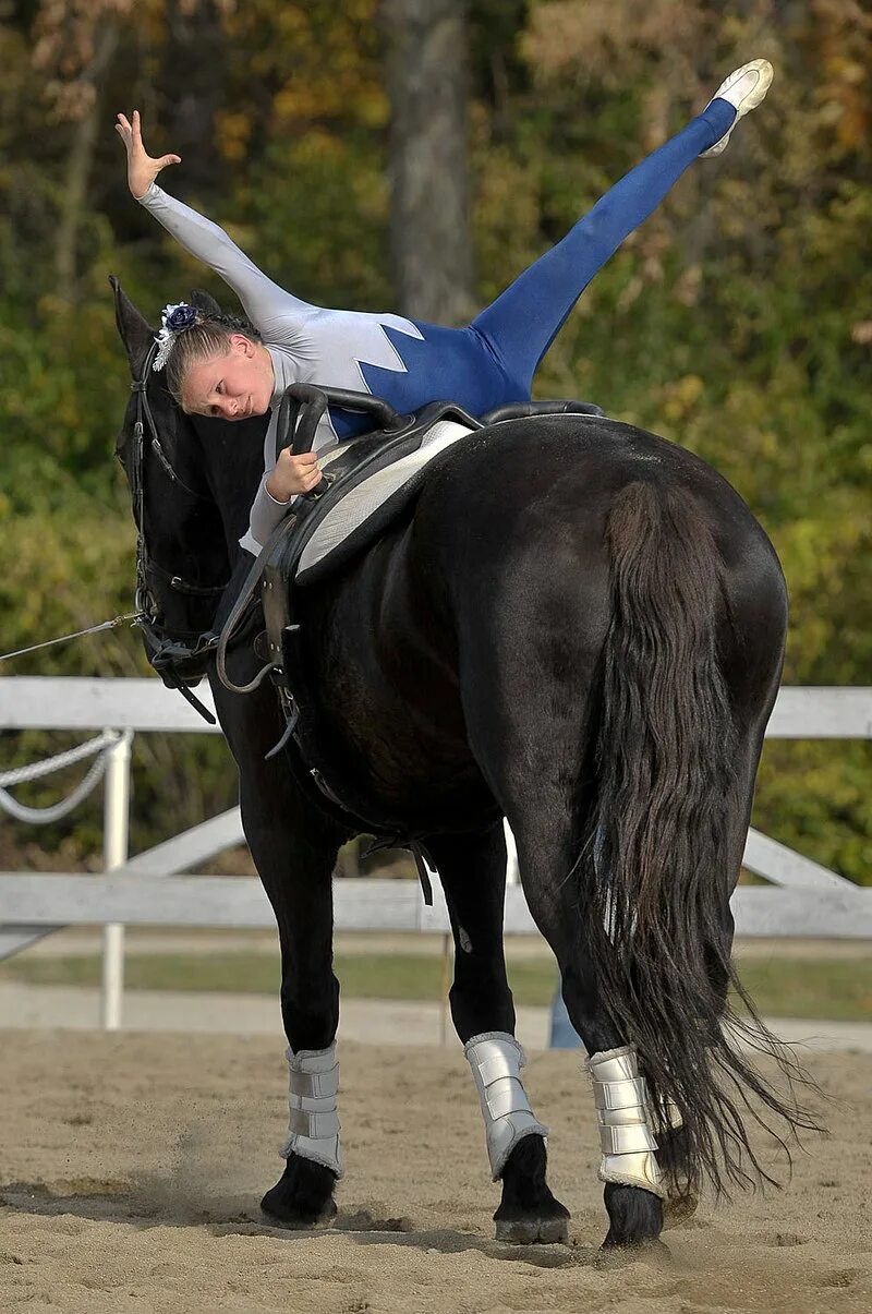 Vaulting. Equestrian Vaulting. Vaulting Horse. Boy Equestrian Vaulting. Тернер лошадь