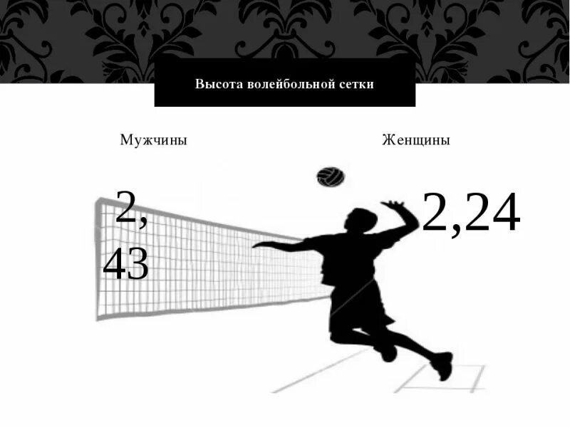 Grid height. Высота женской сетки в волейболе. Высота мужской и женской сетки в волейболе. Высота сетки в волейболе для мужчин. Высота волейбольной сетки для мужчин и женщин.