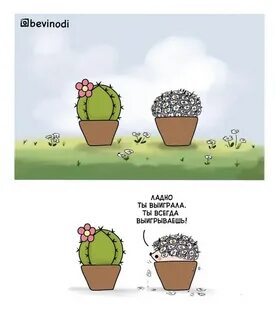 Еж и кактус таблица