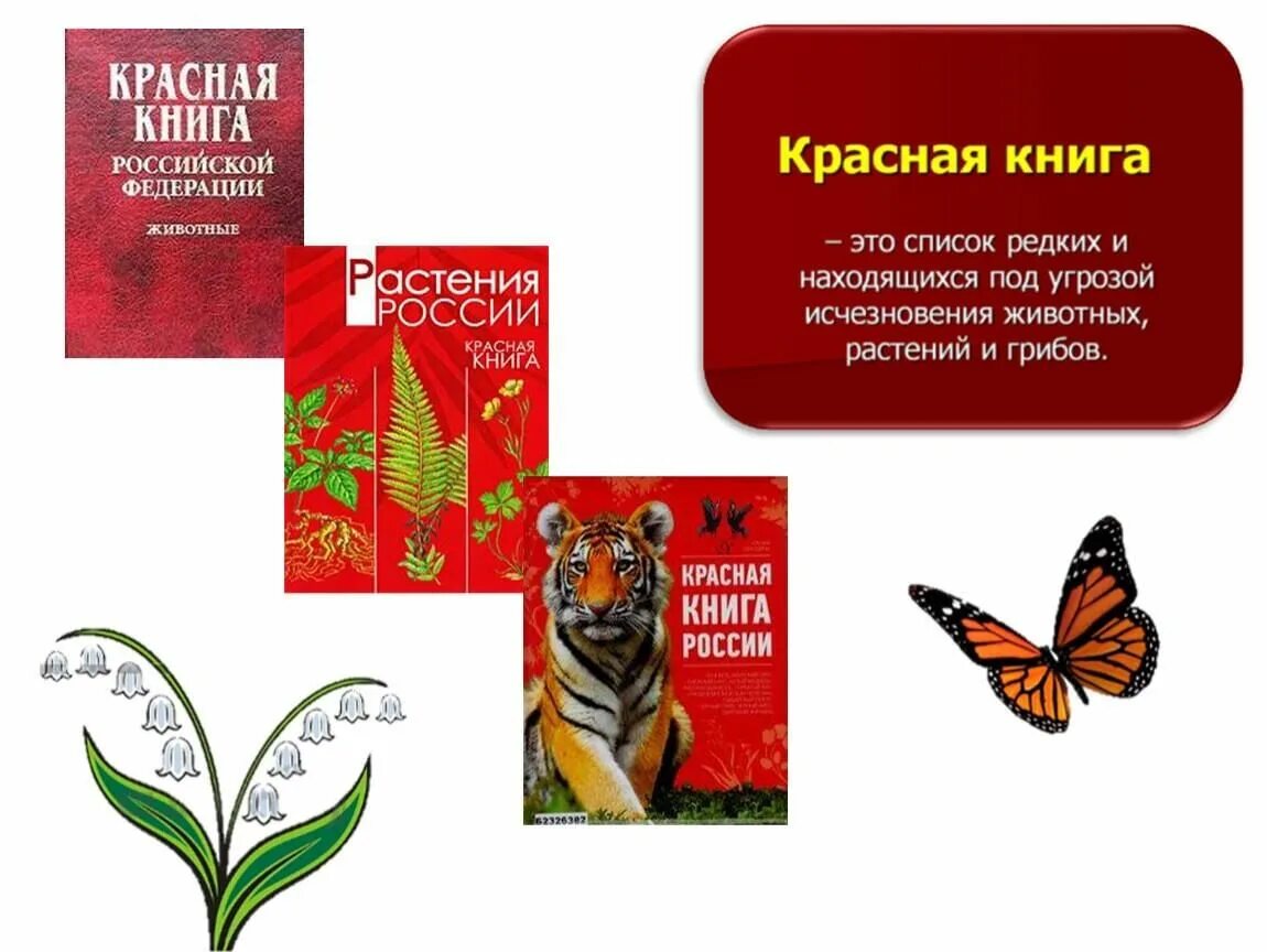 Великая красная книга. Красная книга. Красная книга России. Современная красная книга. Красная книга обложка.