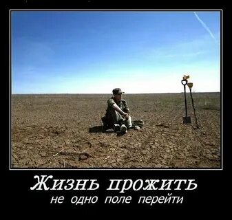 Включи жизнь и поле