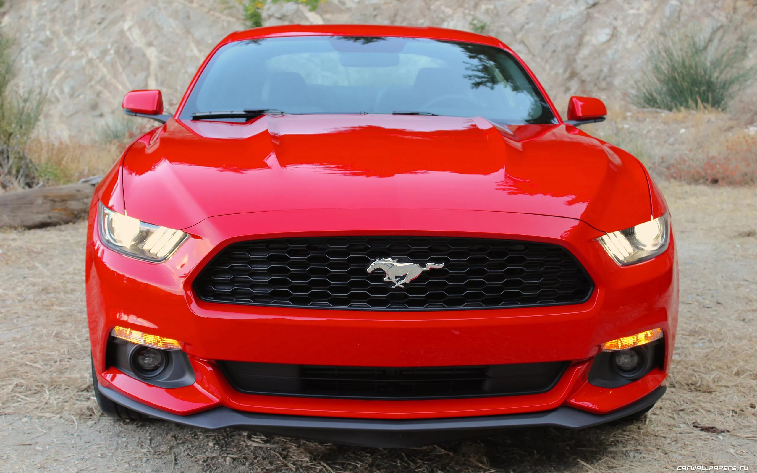 Мустанг производитель. Форд Мустанг 2015. Ford Mustang gt 2015. Форд Мустанг ГТ 2015. Ford Mustang Coupe 2015.