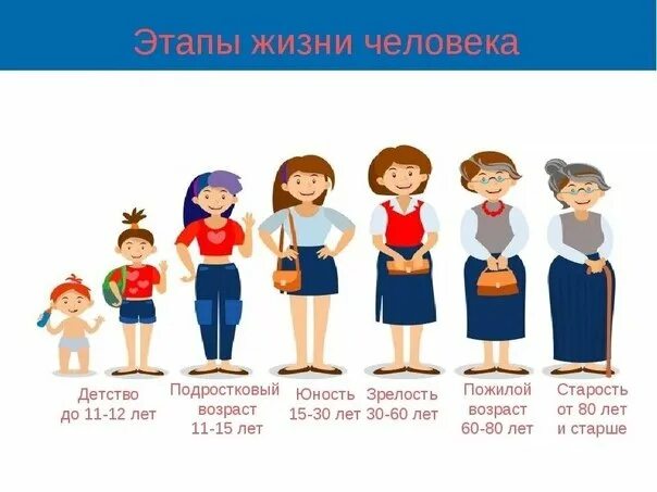 Возрастные изменения человека. Этапы взросления ребенка. Периоды жизни человека для детей. Возрастные периоды жизни человека периоды, возраст. Возрастные этапы развития ребенка.