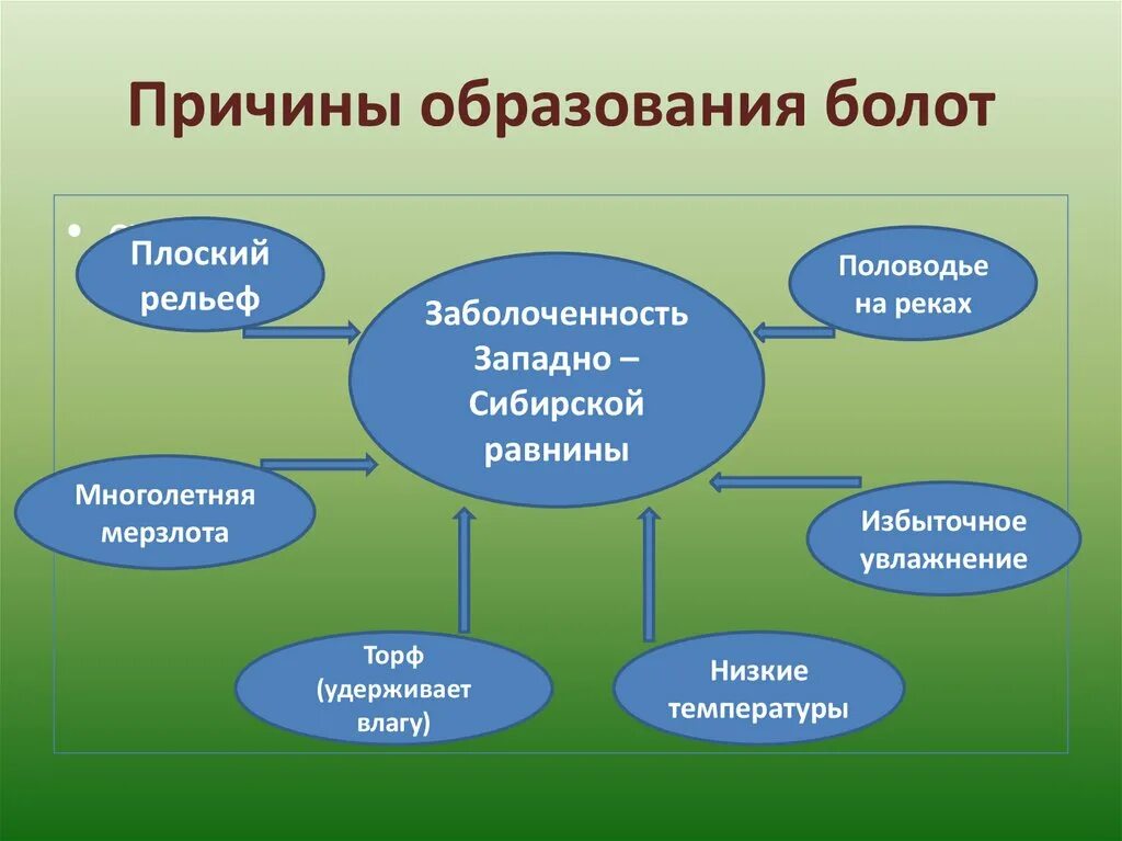 Что является основной причиной образования болот. Схема причины заболоченности западно сибирской равнины. причины образования болот. причины заболоченности западной сибири. факторы образования болот.