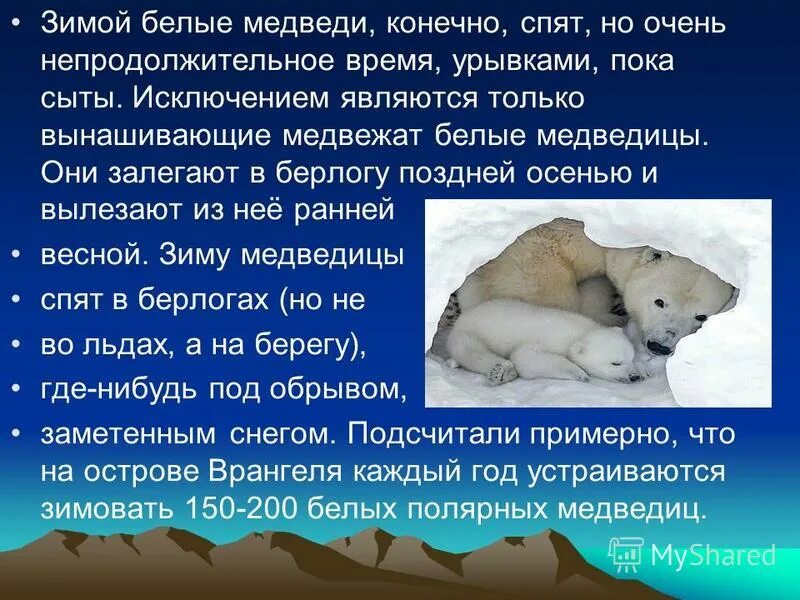 разряды прилагательных гусиный. берлога медведя. берлога медведя притяжательное прилагательное. качественное относительное притяжательное прилагательное. качественные относительные и притяжательные прилагательные.