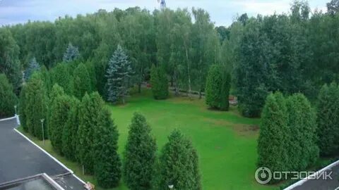 Парк отеле софрино отзывы