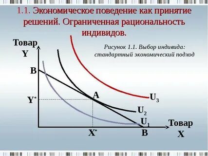 Экономическое поведение индивида