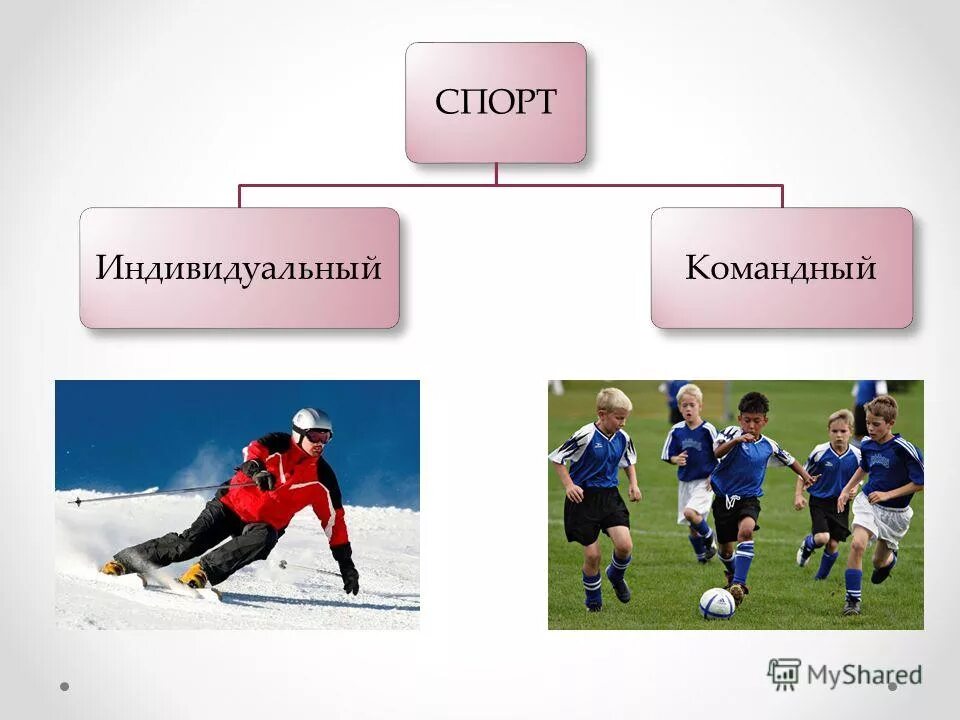 Не командные виды спорта. Командные и индивидуальные виды спорта. Спорт для презентации. Индивидуальные спортивные игры. Командный и индивидуальный спорт.