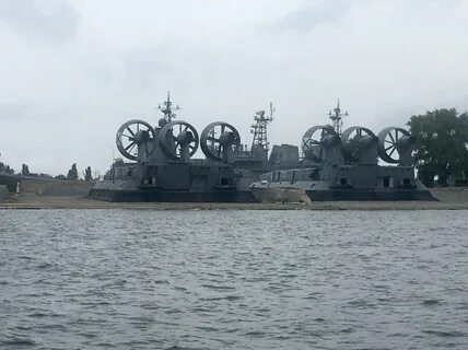 Дмитрюк балтийск