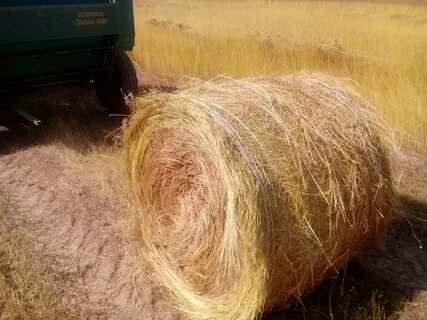 Льноводство