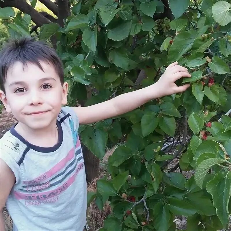 Лена витя. Картинка витя и лена. Лена витя. Лена витя. Футболка с надписью я люблю сашу.