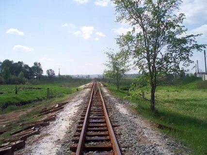 Узкоколейка в беларуси