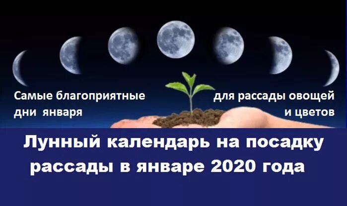 Что сажают на растущую луну. Календарь посадки цветов. Луна и посадки растений. Убывающая Луна для растений. Можно ли сажать в новолуние