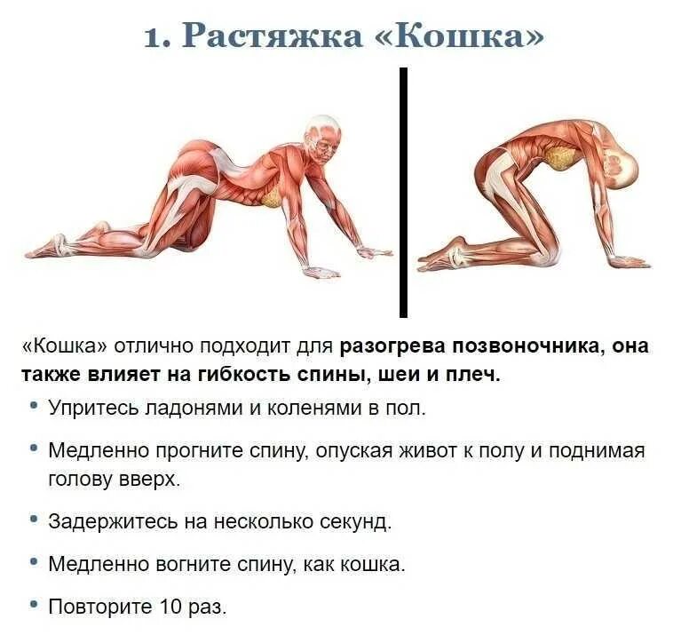 Как повысить гибкость. Упражнения на растягивание мышц. тренировка на растяжку и гибкость. комплекс упражнений на гибкость и растяжку. занятие на растяжку всех мышц.