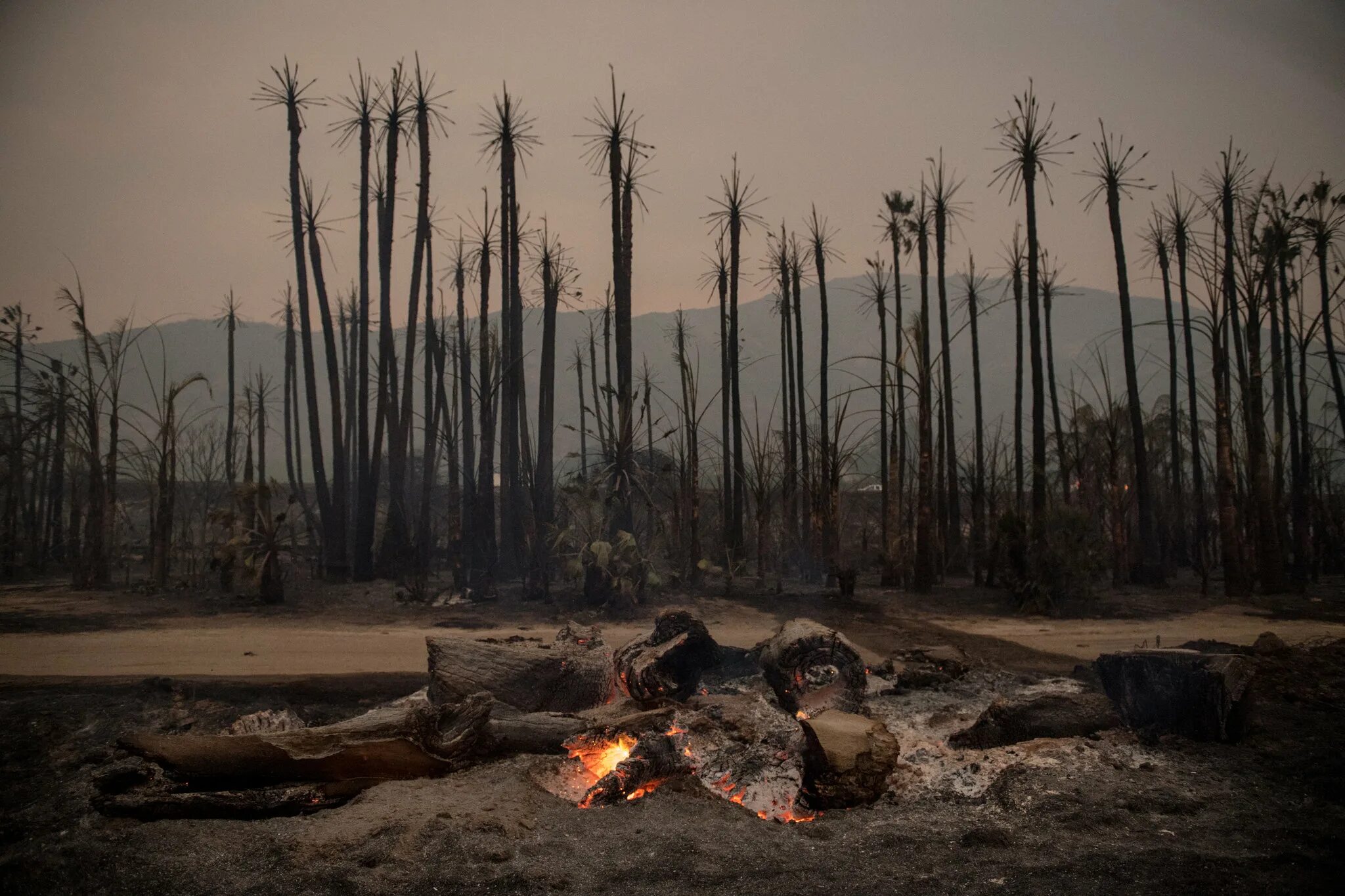 Пожар в санта розе калифорния. Spent and burned. Пожары в калифорнии. Spent and burned. Burning building.