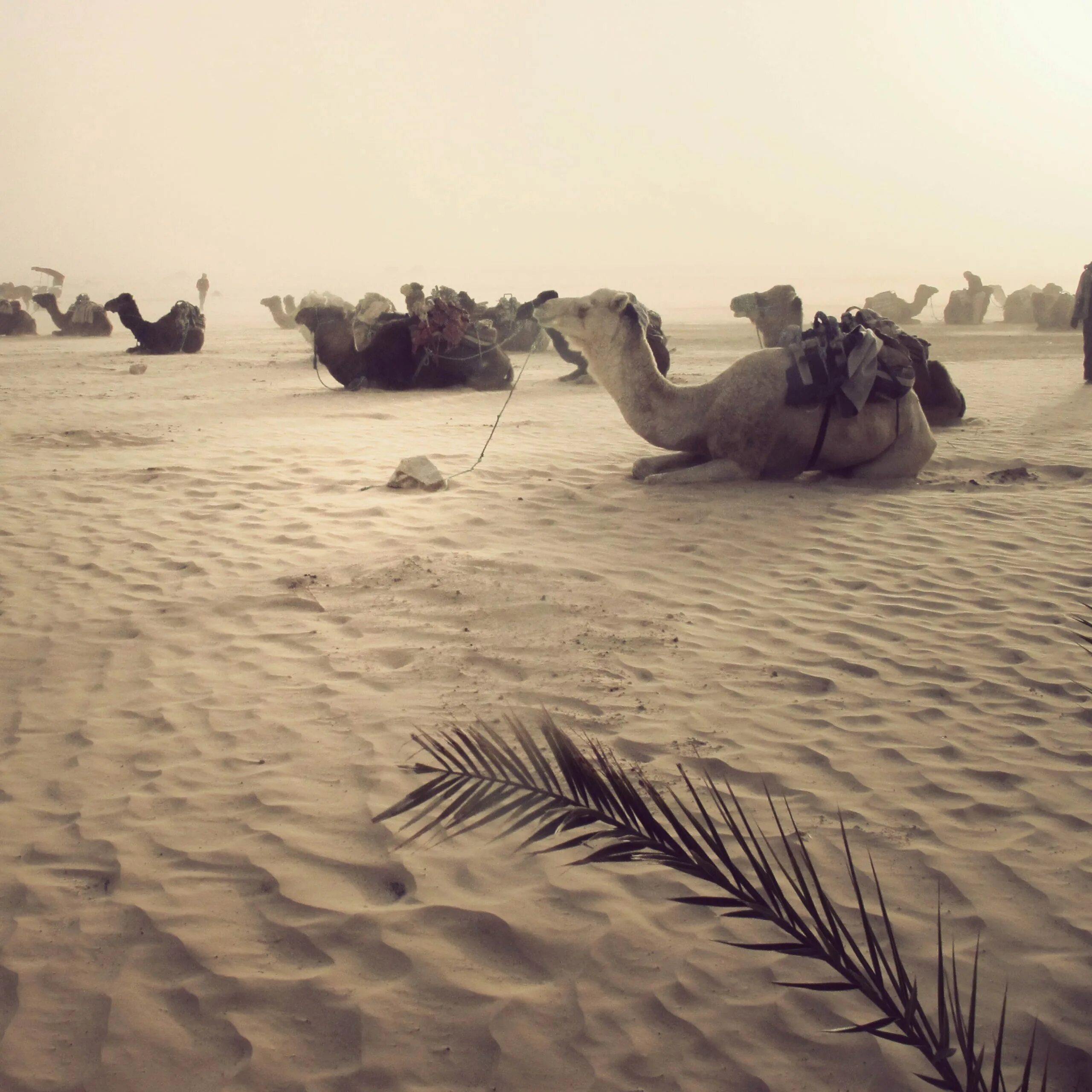 Gone anywhere. I can go anywhere.