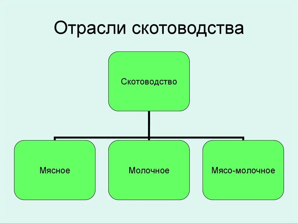 Таблица основные культуры направления животноводства 19. ГЕОГРАФИЯ ЖИВОТНОВОДСТВА: Структура животноводства.