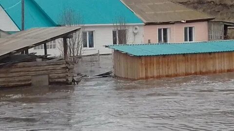 Затопленные районы алтайского края