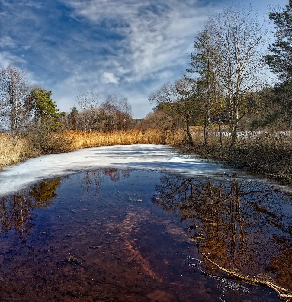 Желтая вода весной. Весенние воды. Весенний пейзаж с водой. Вода весной. Вешние воды пейзаж.