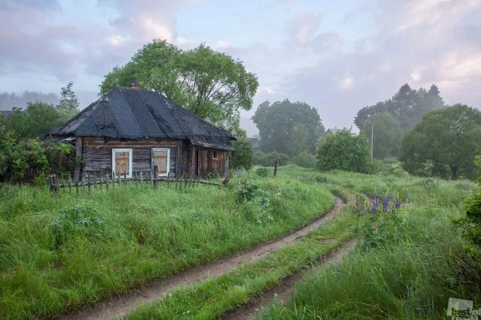 Заброшенные деревни смоленской. Заброшеные церкви тверская обл. Церковь деревня федяево. Заброшенные деревни смоленской. Заброшенная деревня мос область.