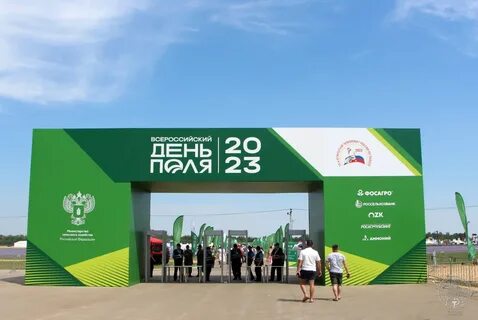 Поли рт