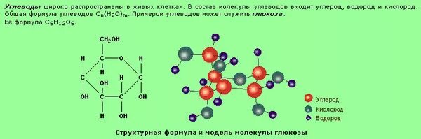 Формула Глюкозы в химии. Молекулярная и структурная формула Глюкозы. Глюкоза формула химическая молекулярная. Глюкоза молекула структура.