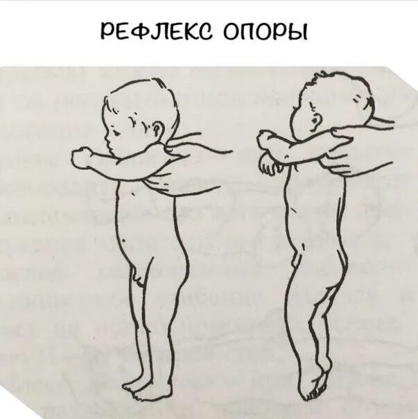 2 3 месяца прямые