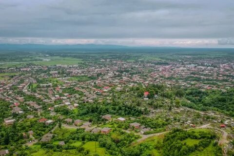 Сенаки