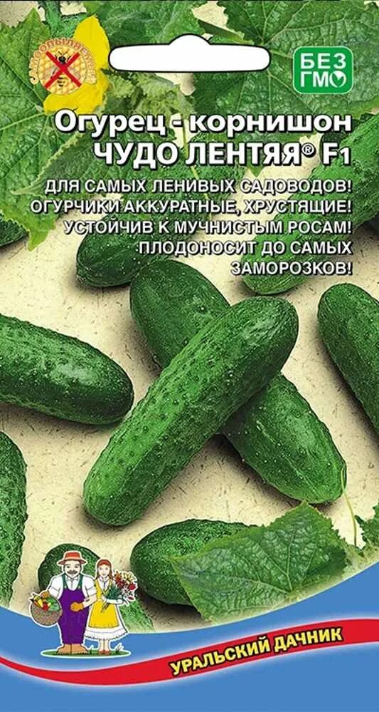 Чудо огурцы отзывы. Огурец уральский корнишон уральский дачник. огурец чудо лентяя f1. огурец дружина f1. огурец чудо лентяя уральский дачник семена.