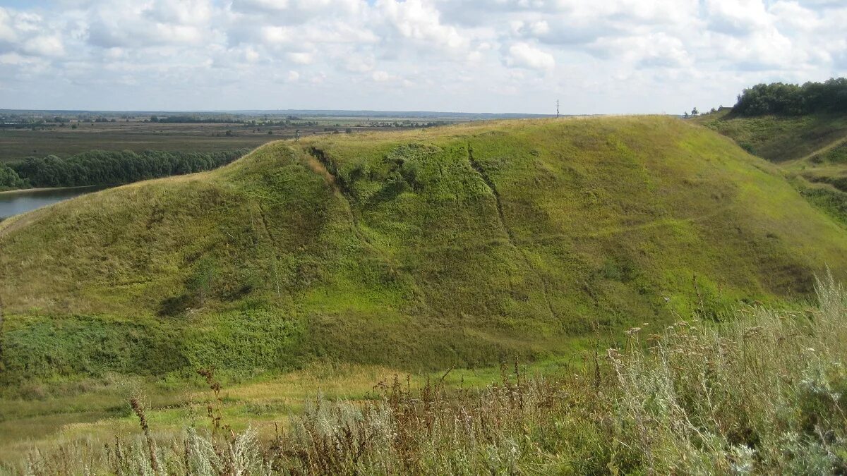 Перевицкий торжок. Бастанова гора фруктовая. Перевицкий торжок. Перевицкий торжок где находится. Перевицкий торжок луховицкий.