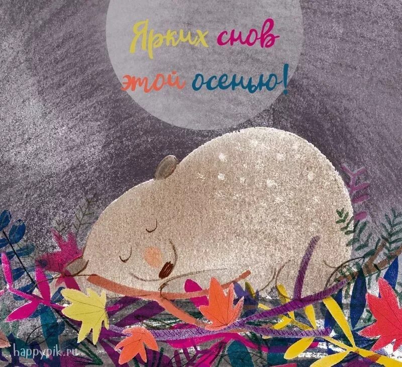 Оригинальное спокойной. Ночь открытки стильные. спокойной ночи дизайнерские открытки. доброй ночи креативные пожелания. креативное пожелание спокойной ночи.
