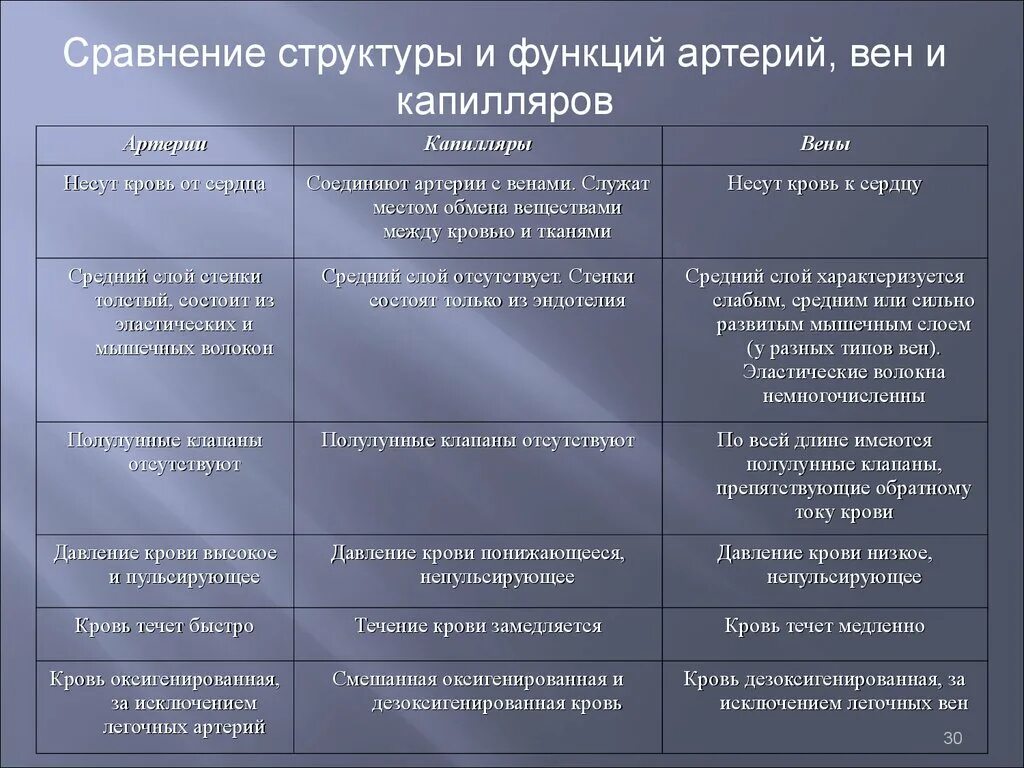 Строение и функции кровеносных сосудов таблица. Сравнительная таблица артерий и вен. Функции и строение артерий,вен и капилляров. Таблица строение и функции артерий вен и капилляров.