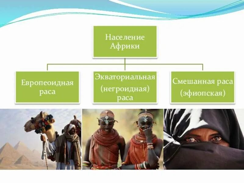 Расовый состав населения Африки таблица 7 класс. Народы негроидной расы в Африке. Население Африки расы. Население Африки 7 класс.