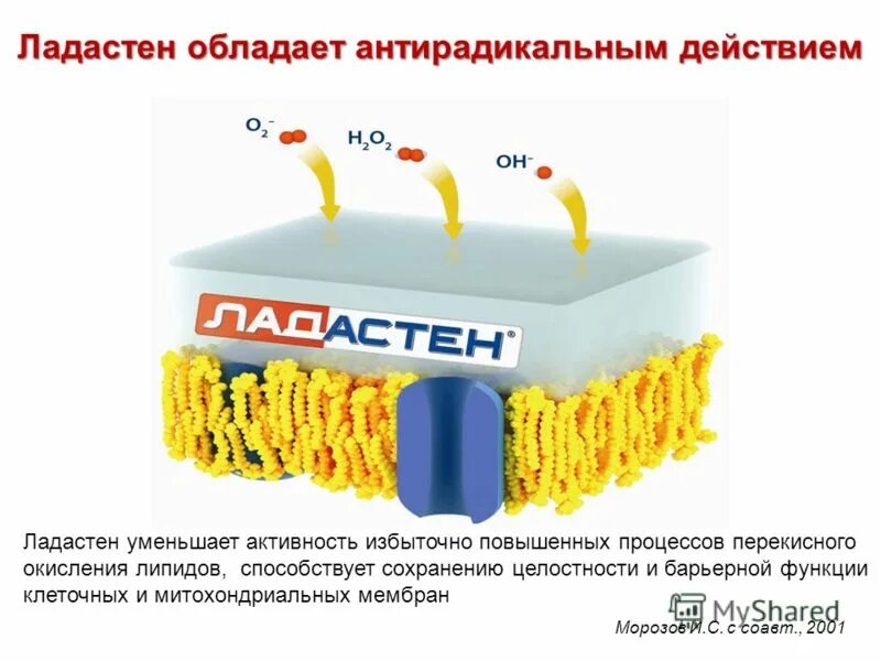 Ладастен. Ладастен аналоги. Ладастен действие. Ладастен инструкция. Ладастен механизм действия фармакология.