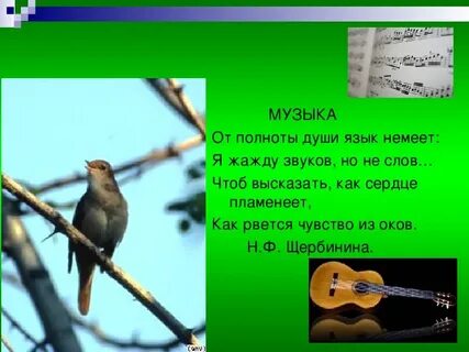 В какой душе звучит музыка