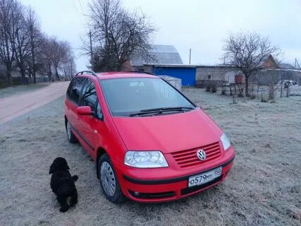 Шаран 2002 года