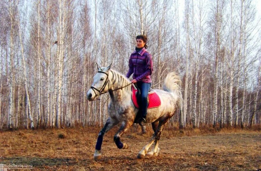 Кск новосибирск. Конно спортивный клуб Велес. Конный клуб Велес Новосибирск. Конный клуб Велес СПБ. Конный клуб Северный.