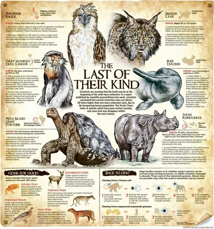 Release reduce adopt reusable endangered species. Инфографика животные. Инфографика редкие животные. Инфографика Анимал. Инфографика вымирающий животных.