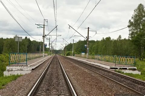 Новогромово вороновское поселение