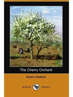 Cherry orchard