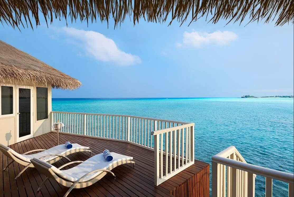 Мальдивы cinnamon dhonveli. Отель cinnamon dhonveli maldives. синамон отель мальдивы синнамон донвели. cinnamon dhonveli 4*. cinnamon dhonveli maldives (ex. chaaya island dhonveli) 4*.